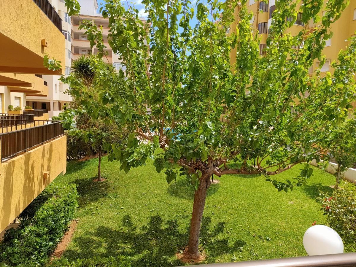 Tamaris Playa Solo Familias Serviplaya Playa De Xeraco Εξωτερικό φωτογραφία
